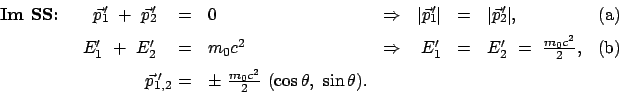 \begin{displaymath}\begin{array}{rclcrclc} \mbox{\textbf{Im SS:}} \qquad \vec{p}...
...ac{m_0 c^2}{2}  (\cos\theta ,  \sin\theta ). &&&& \end{array}\end{displaymath}